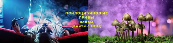 соль курить ск Кукмор