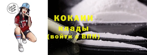 ГАЛЛЮЦИНОГЕННЫЕ ГРИБЫ Ладушкин