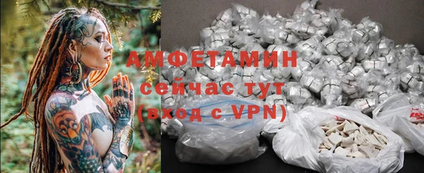 ГАЛЛЮЦИНОГЕННЫЕ ГРИБЫ Ладушкин