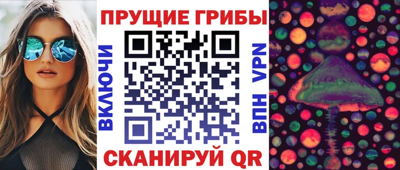 Псилоцибиновые грибы мухоморы  Кущёвская 